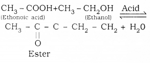 KSEEB SSLC Class 10 Science Solutions Chapter 4 Carbon and Its Compounds Add Q 4
