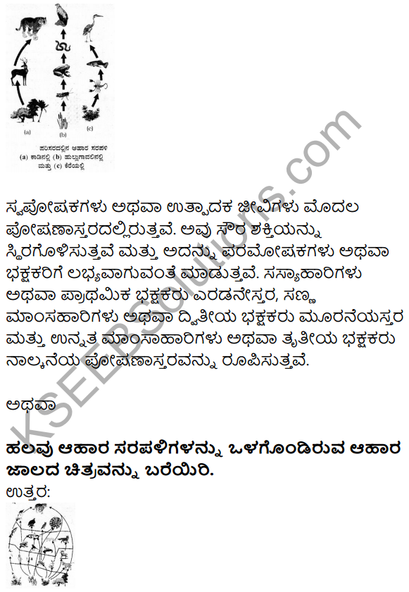 Karnataka SSLC Science Model Question Paper 2 in Kannada Medium - 19