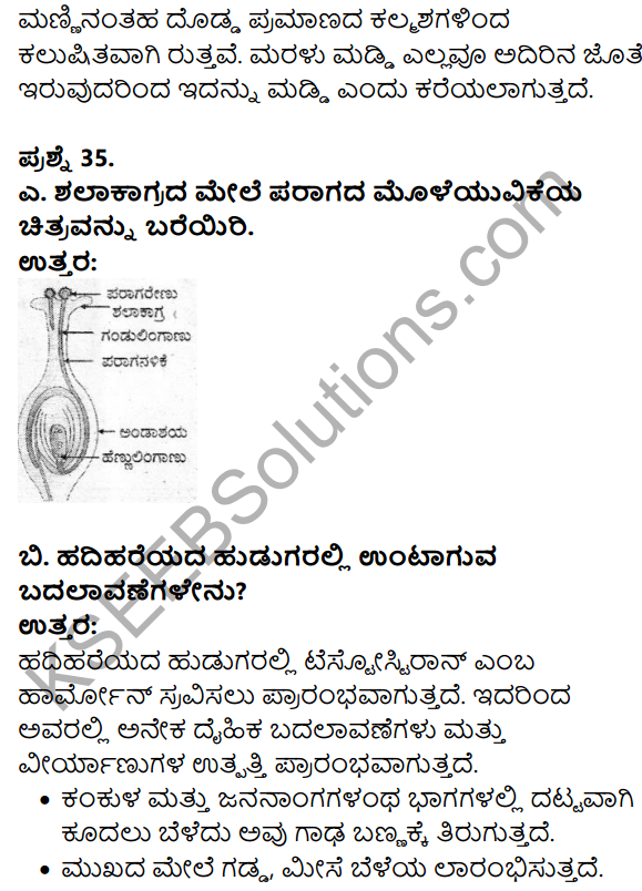 Karnataka SSLC Science Model Question Paper 2 in Kannada Medium - 22