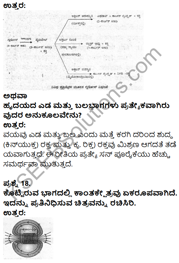 Karnataka SSLC Science Model Question Paper 2 in Kannada Medium - 7
