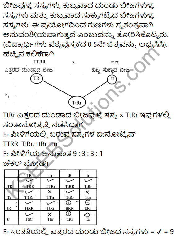 Karnataka SSLC Science Model Question Paper 3 in Kannada Medium - 15
