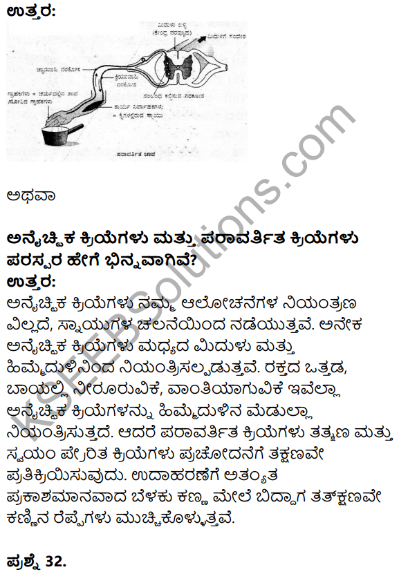 Karnataka SSLC Science Model Question Paper 3 in Kannada Medium - 20