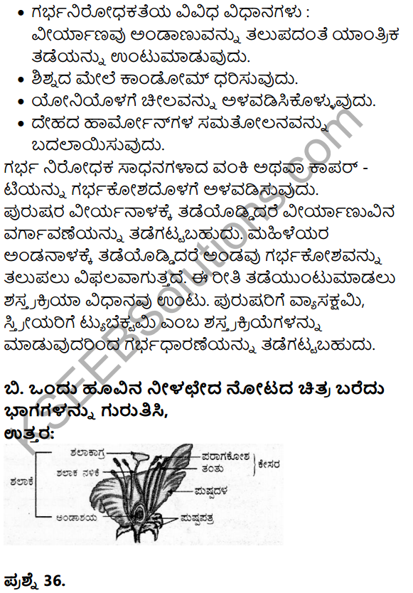 Karnataka SSLC Science Model Question Paper 3 in Kannada Medium - 24