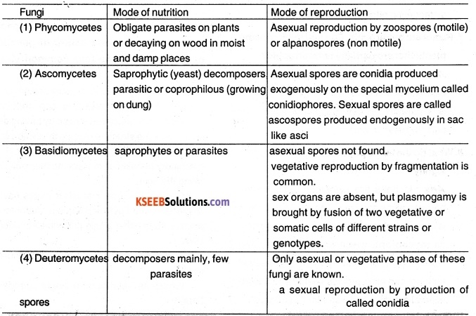 1st PUC Biology Question Bank Chapter 2 Biological Classification 4