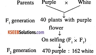 2nd PUC Biology Question Bank Chapter 5 Principles of Inheritance and Variation 11