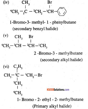 2nd PUC Chemistry Question Bank Chapter 10 Haloalkanes and Haloarenes - 2