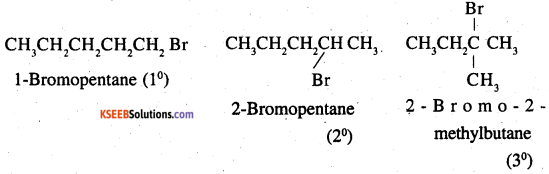 2nd PUC Chemistry Question Bank Chapter 10 Haloalkanes and Haloarenes - 33