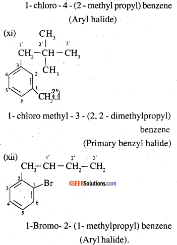 2nd PUC Chemistry Question Bank Chapter 10 Haloalkanes and Haloarenes - 4
