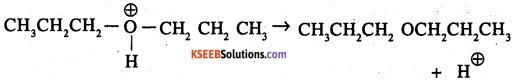 2nd PUC Chemistry Question Bank Chapter 11 Alcohols, Phenols and Ethers - 51
