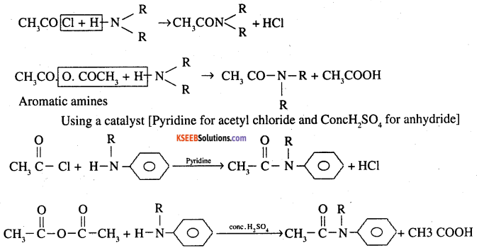 2nd PUC Chemistry Question Bank Chapter 13 Amines - 31
