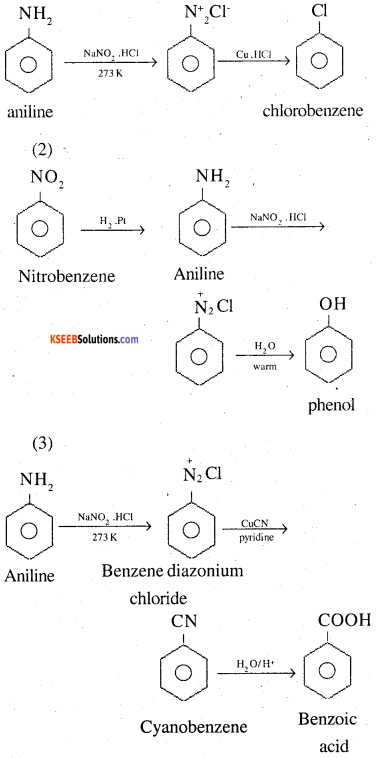 2nd PUC Chemistry Question Bank Chapter 13 Amines - 82