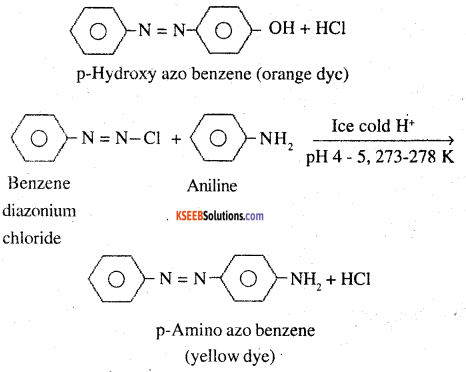 2nd PUC Chemistry Question Bank Chapter 13 Amines - 85
