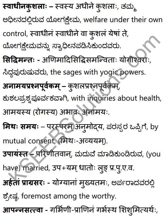 शून्या मेऽङ्गुलिः Summary in Kannada and English 73