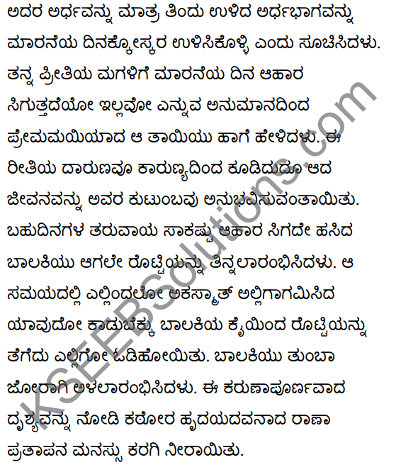 महाराणाप्रतापः Summary in Kannada 41