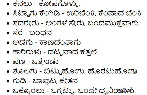Bidugadeya Hadu Summary in Kannada 5