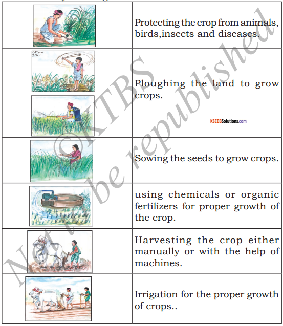 KSEEB Solutions for Class 5 EVS Chapter 8 Agriculture 1