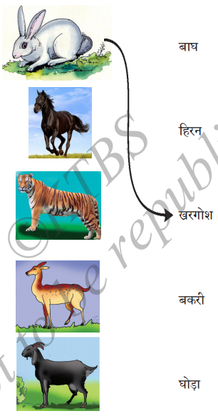 KSEEB Solutions for Class 6 Hindi Chapter 19 हाथी मेरा साथी 2