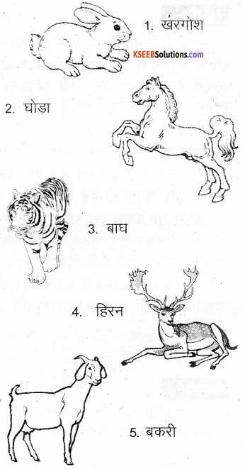 KSEEB Solutions for Class 6 Hindi Chapter 19 हाथी मेरा साथी 3