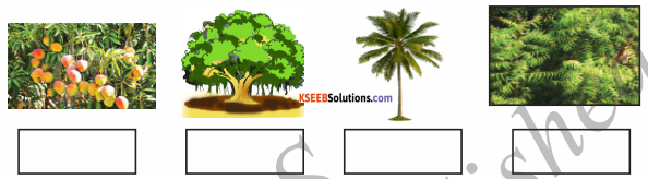 KSEEB Solutions for Class 6 Hindi Chapter 25 वनमहोत्सव 1