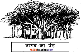 KSEEB Solutions for Class 6 Hindi Chapter 25 वनमहोत्सव 2