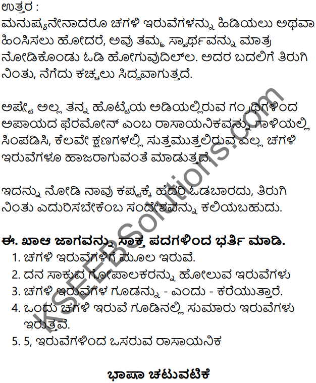 Chagali Iruve Lesson In Kannada KSEEB Solutions Class 7
