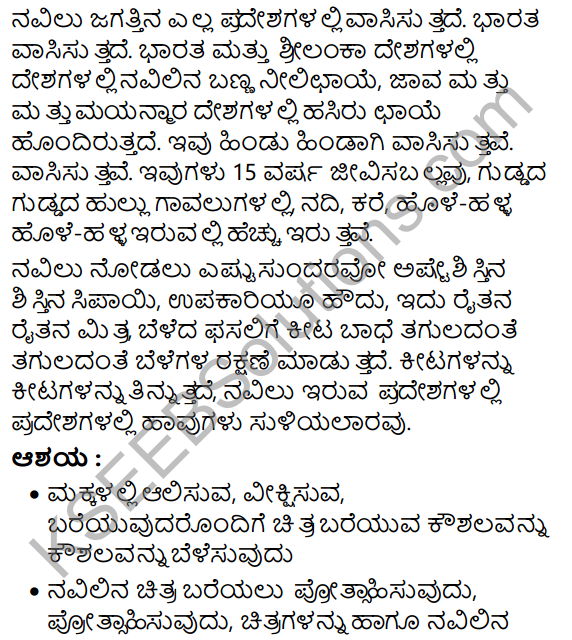Navilu Summary in Kannada 14