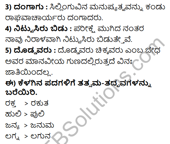 Tili Kannada Text Book Class 8 Solutions Gadya Chapter 5 Blood Group 13