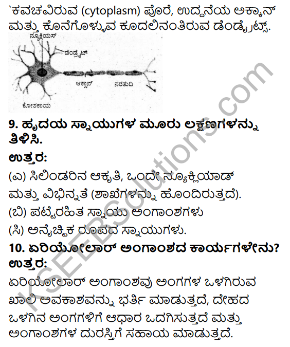 KSEEB Solutions for Class 9 Science Chapter 6 Amgansagalu 3