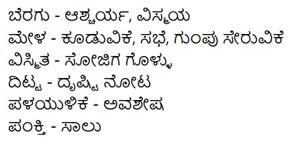 Nudi Kannada Text Book Class 10 Solutions Chapter 6 Grandhalayadalli 10