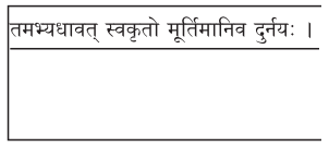 2nd PUC Sanskrit Workbook Answers Chapter 3 निर्विमर्शा हि भीरवः 9