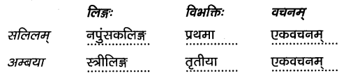2nd PUC Sanskrit Workbook Answers Chapter 6 अनुरागोदयः 13
