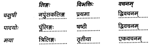 2nd PUC Sanskrit Workbook Answers Chapter 8 विधिविलसितम् 14