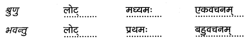2nd PUC Sanskrit Workbook Answers Chapter 8 विधिविलसितम् 16