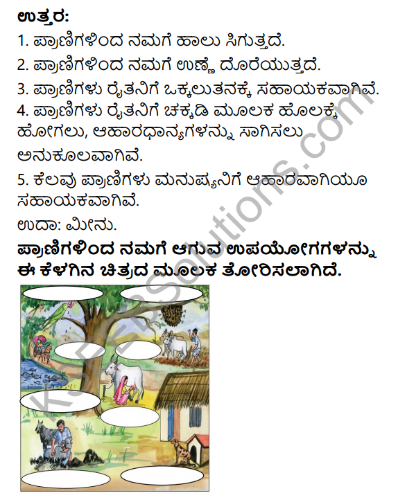 KSEEB Solutions for Class 4 EVS Chapter 1 The Animal Kingdom in Kannada 5