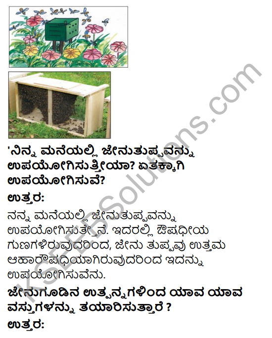 KSEEB Solutions for Class 4 EVS Chapter 2 Honey, Sweet Honey in Kannada 1