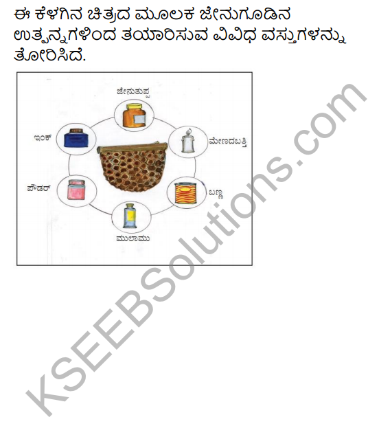 KSEEB Solutions for Class 4 EVS Chapter 2 Honey, Sweet Honey in Kannada 2