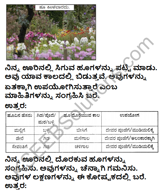 KSEEB Solutions for Class 4 EVS Chapter 5 Flowers - Colours in Kannada 1