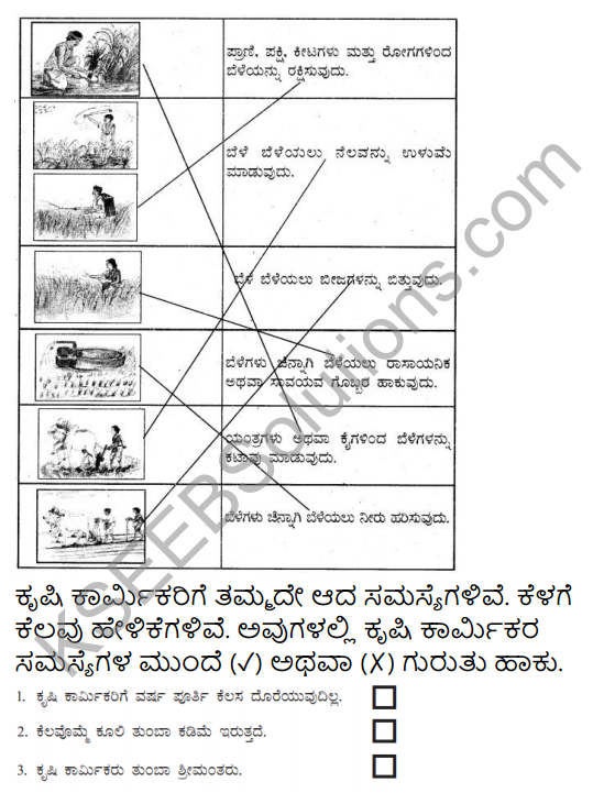 KSEEB Solutions for Class 5 EVS Chapter 8 Agriculture in Kannada 3
