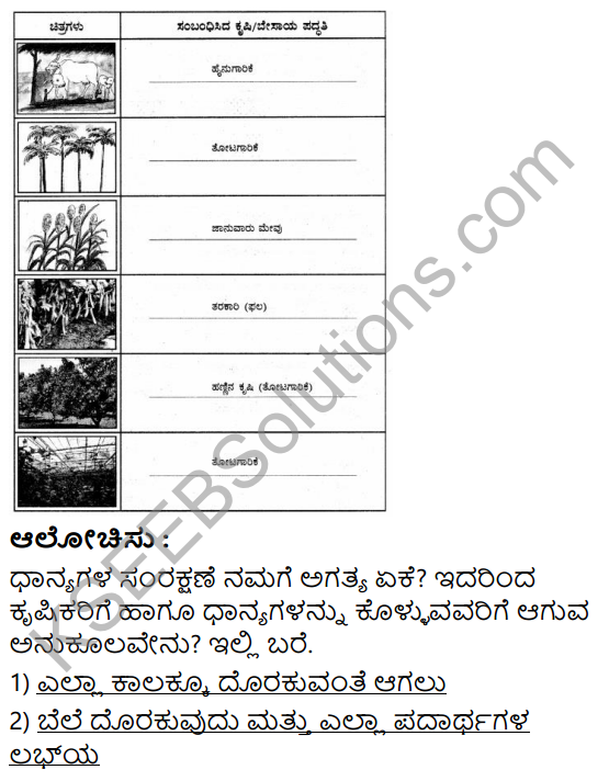 KSEEB Solutions for Class 5 EVS Chapter 8 Agriculture in Kannada 8