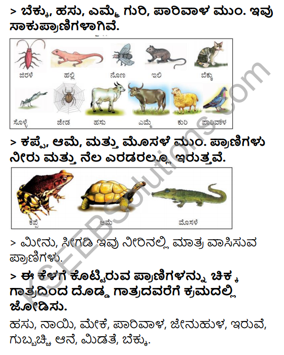 KSEEB Solutions for Class 3 EVS Chapter 1 A Day in the Garden in Kannada 5