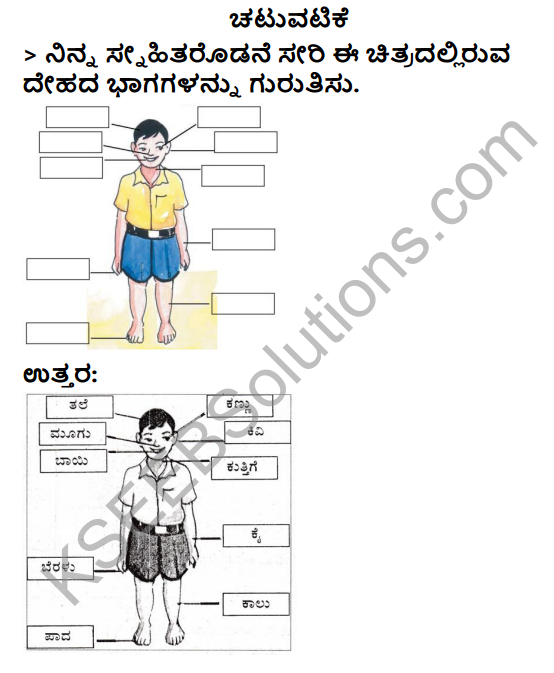 KSEEB Solutions for Class 3 EVS Chapter 10 Our Sense Organs in Kannada 1