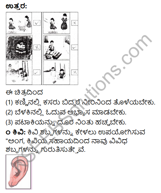 KSEEB Solutions for Class 3 EVS Chapter 10 Our Sense Organs in Kannada 4
