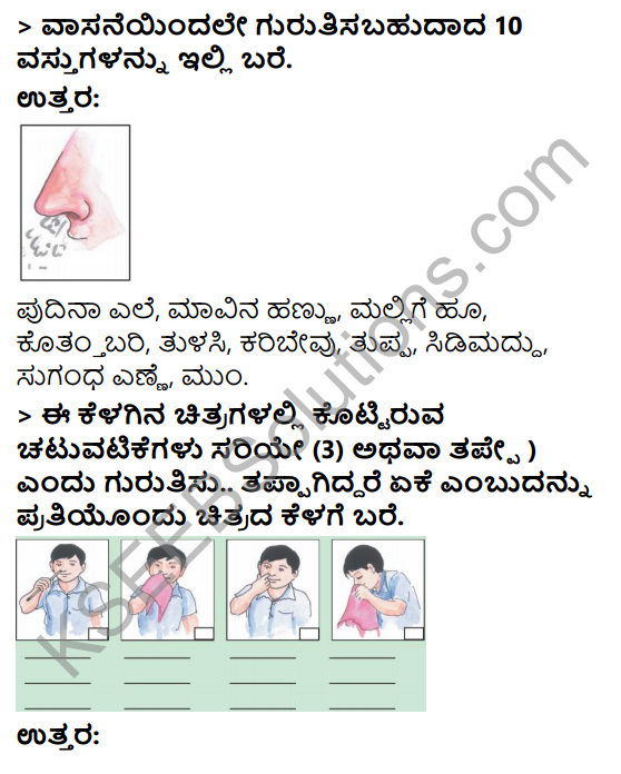 KSEEB Solutions for Class 3 EVS Chapter 10 Our Sense Organs in Kannada 6
