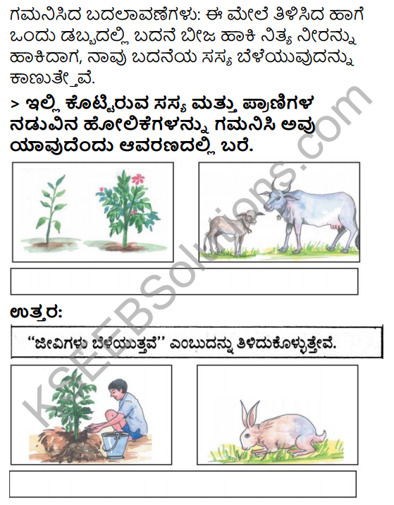 KSEEB Solutions for Class 3 EVS Chapter 3 Judgement of the Owl in Kannada 6