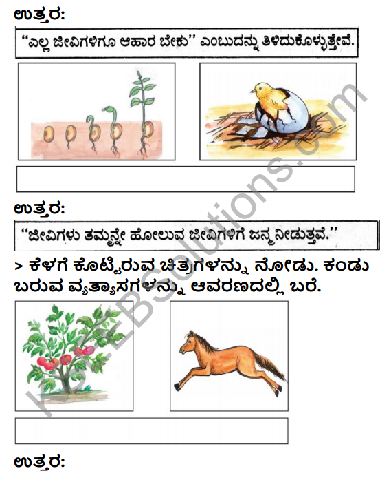 KSEEB Solutions for Class 3 EVS Chapter 3 Judgement of the Owl in Kannada 7