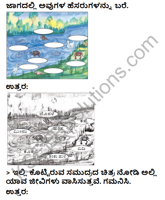 KSEEB Solutions for Class 3 EVS Chapter 5 The Family of Water in Kannada 2
