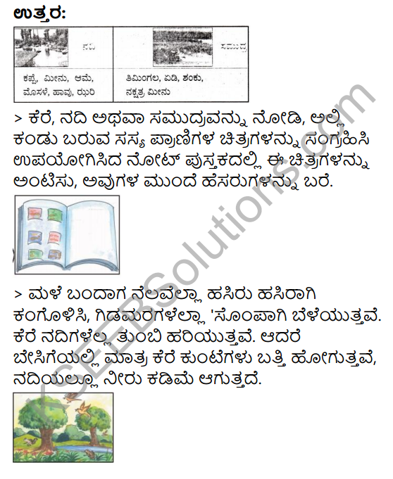 KSEEB Solutions for Class 3 EVS Chapter 5 The Family of Water in Kannada 4