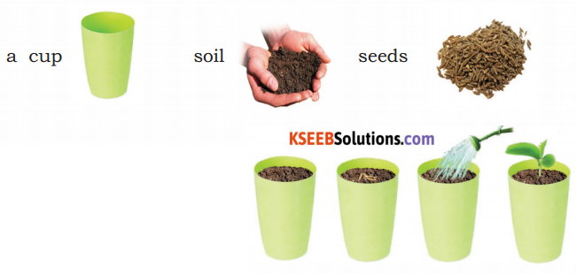 KSEEB Solutions for Class 3 English Chapter 1 Greenwood 40