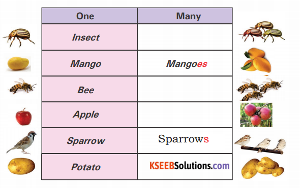 KSEEB Solutions for Class 3 English Chapter 1 Greenwood 5