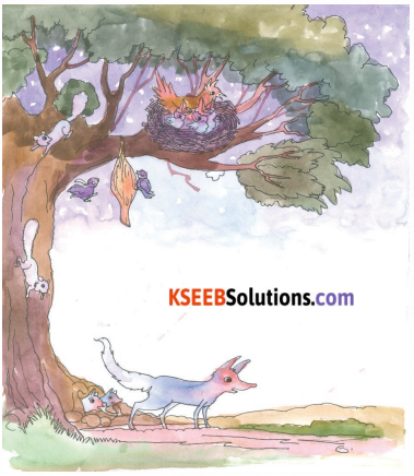KSEEB Solutions for Class 3 English Chapter 11 Stories for Listening 061